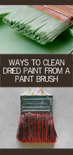 Ways to Clean Dried Paint From a Paint Brush
