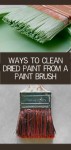 Ways to clean dried paint from a brush