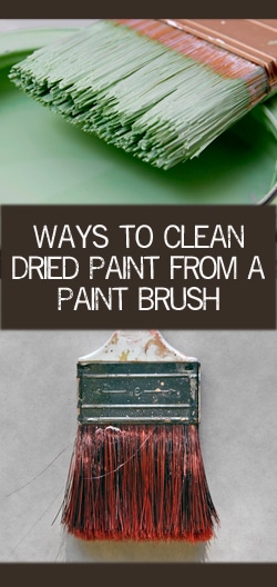 How to Clean and Soften Dried Paint Brushes - Savvy Apron