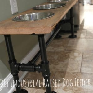 dog food table