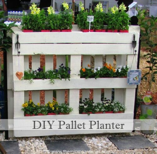 pallet planter for herbs