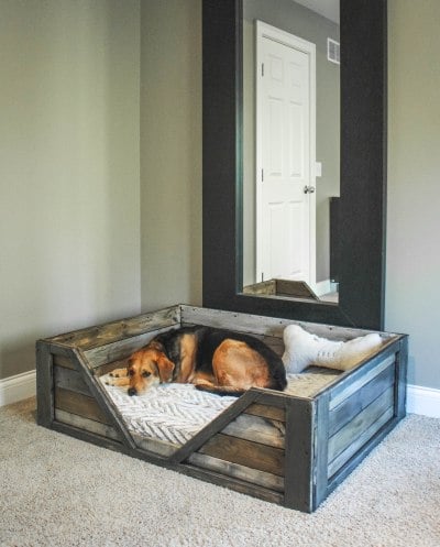 dog bed pallets