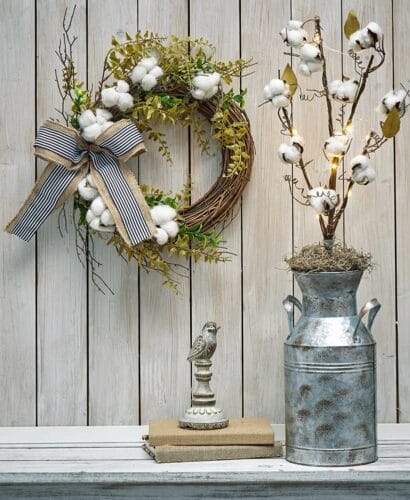 plants home decor idea